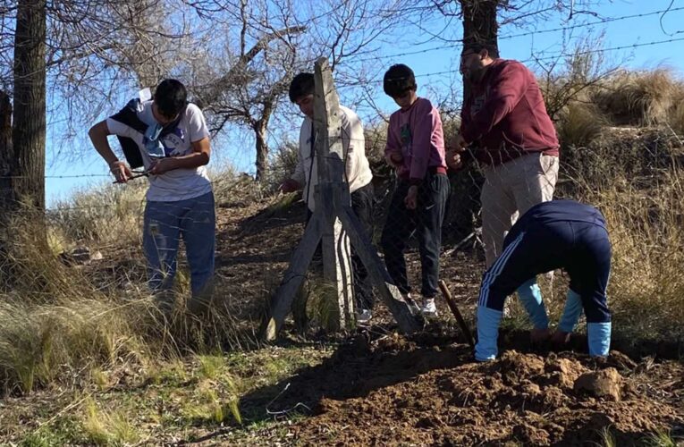 Estudiantes de dos escuelas rurales del sur de San Luis criarán lombrices para comercializar