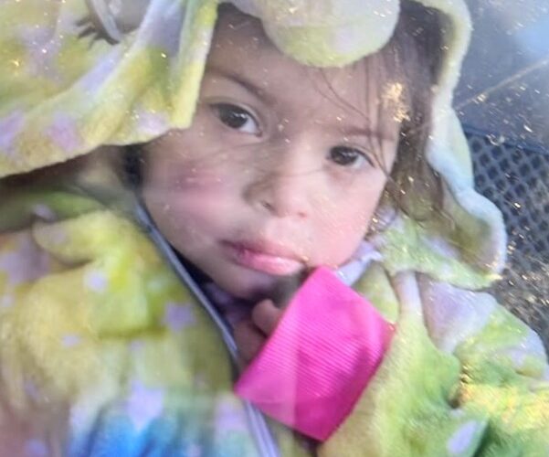 Buscan a una niña de 3 años desaparecida en la ciudad de San Luis