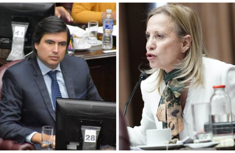 Polémicas declaraciones: Pidieron sancionar a la diputada Silvia Sosa Araujo tras un cruce en el debate por la reforma constitucional