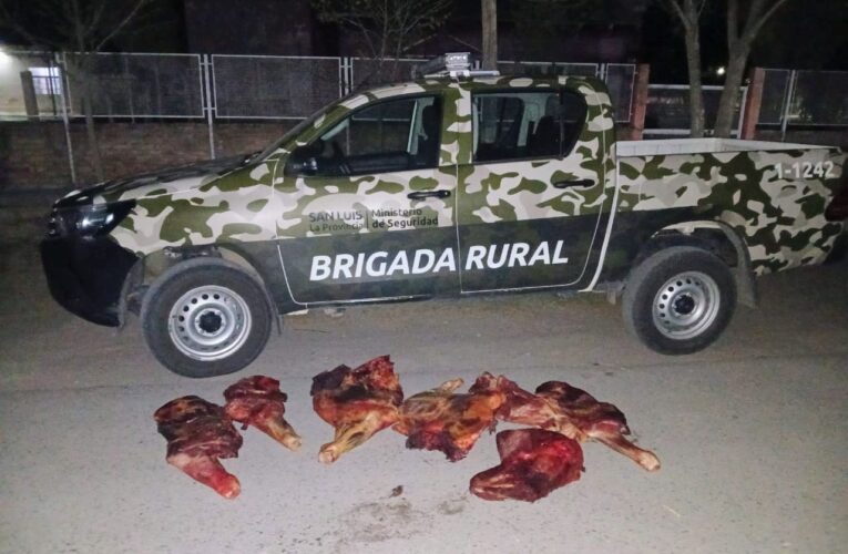 Demoraron a dos hombres y decomisaron carne vacuna durante un operativo rural